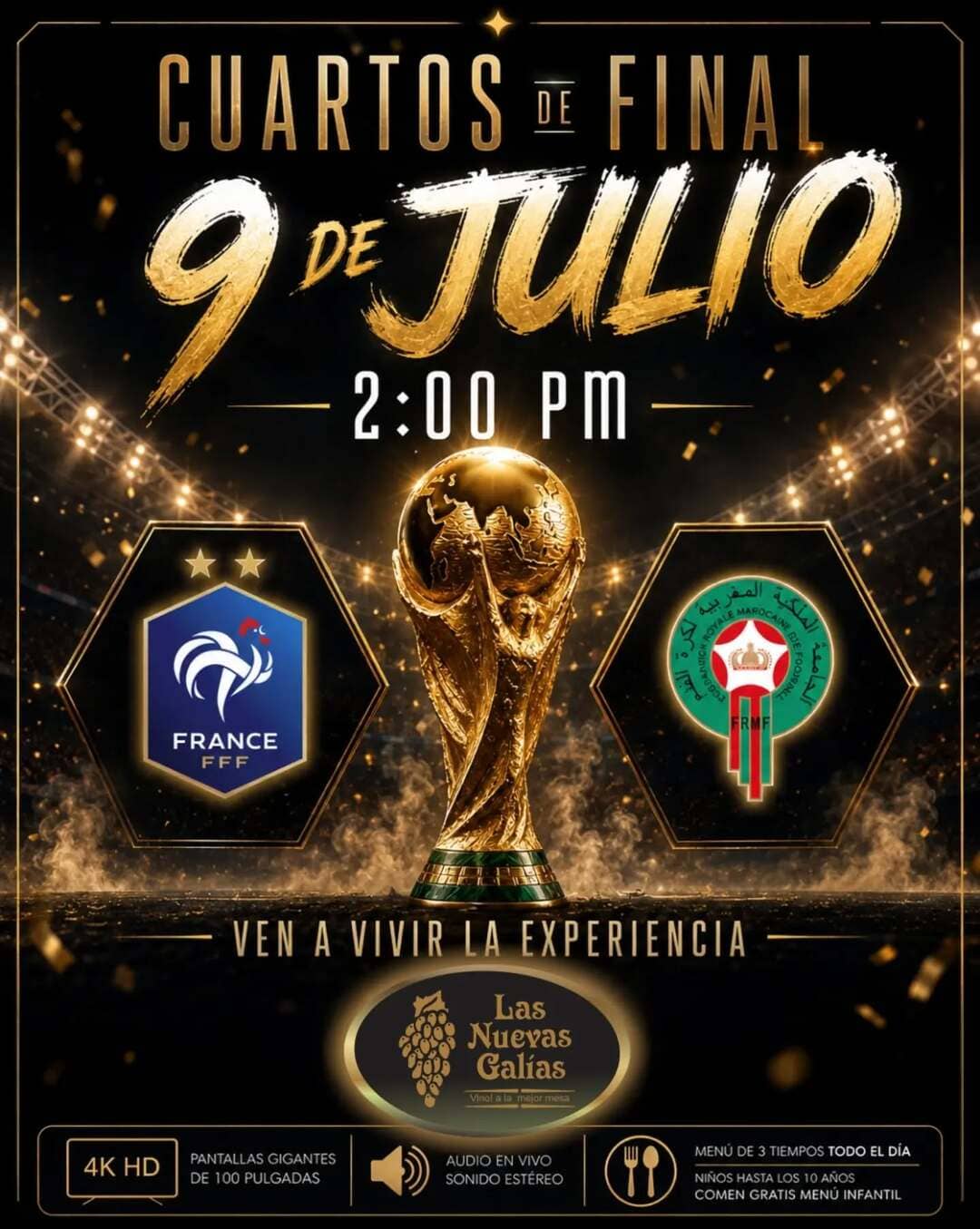 Partido Francia vs Marruecos