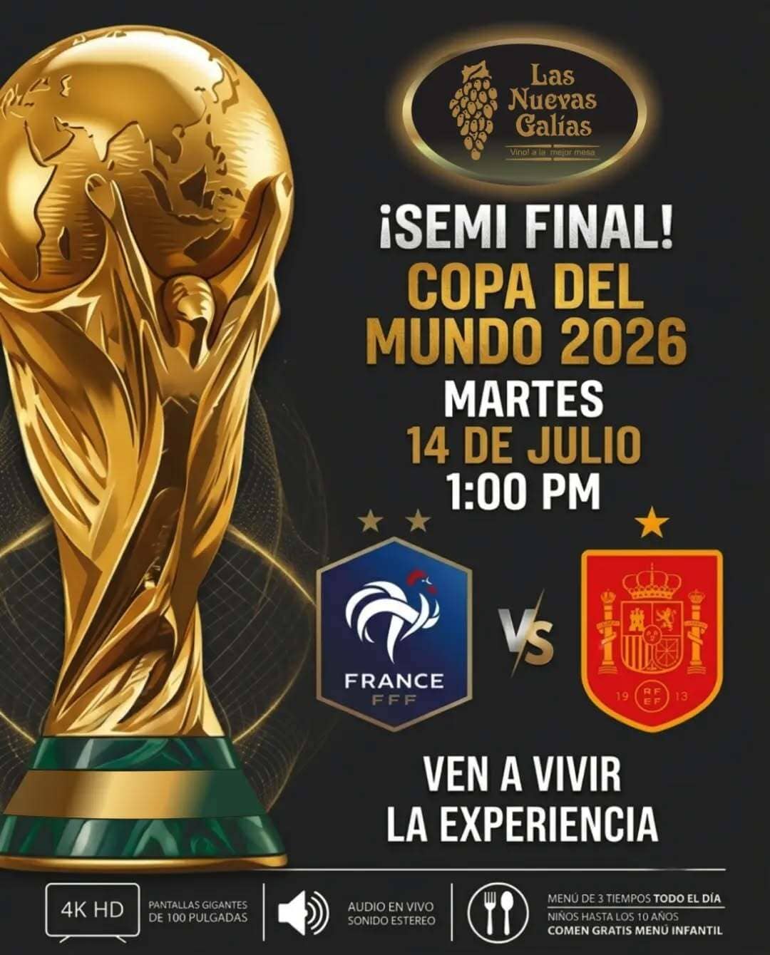 Partido Francia vs España