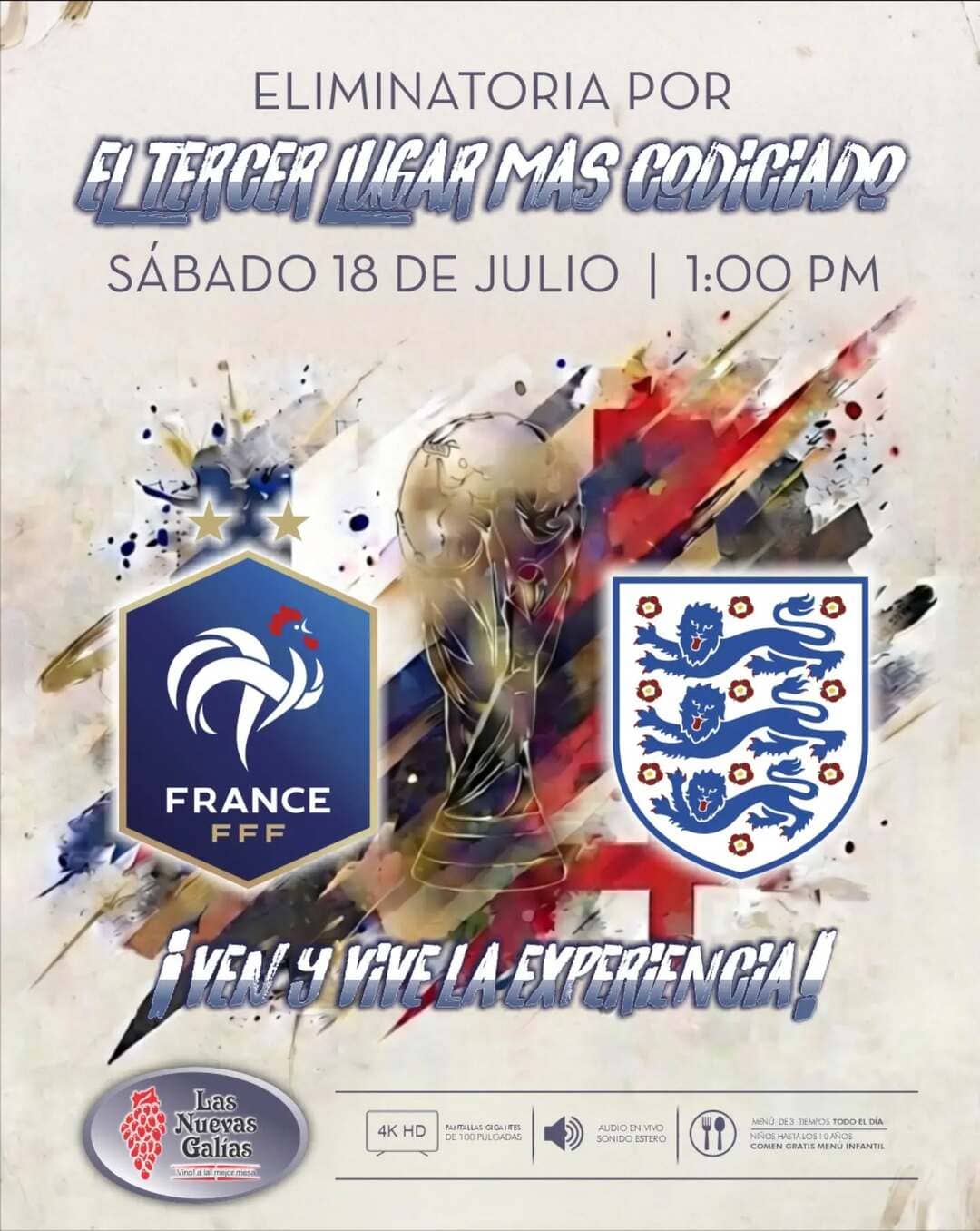 Partido Francia vs Inglaterra